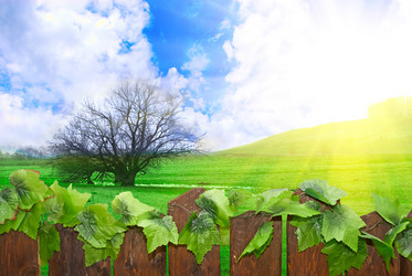 Similar image 812240