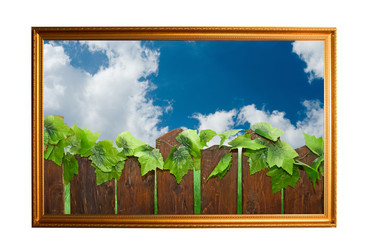 Similar image 812244