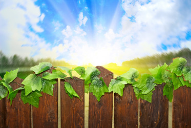 Similar image 812245