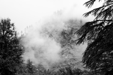 Similar image 812295