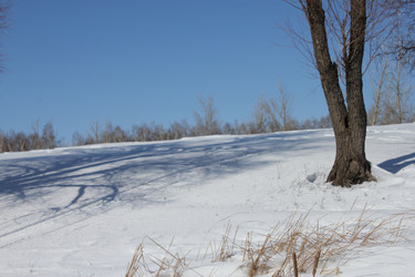 Similar image 812382