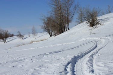 Similar image 812393