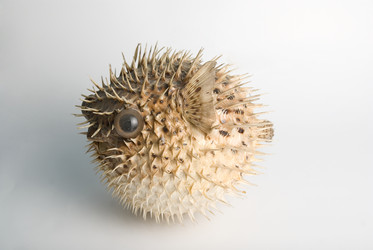 Similar image 812425