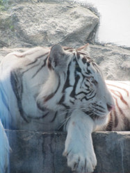 Similar image 812431