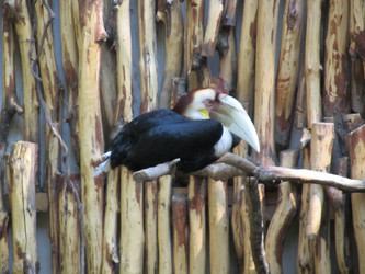 Similar image 812437