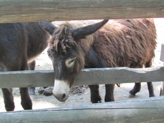 Similar image 812472