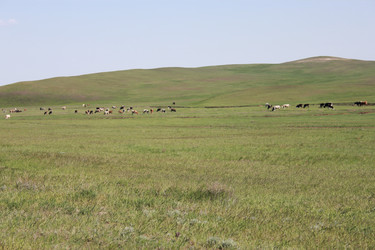 Similar image 812507