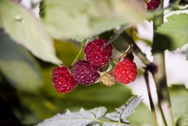 Similar image 812512