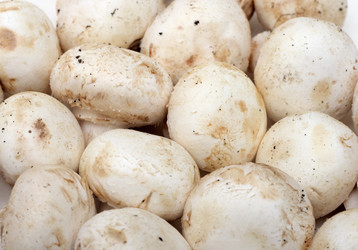 Similar image 812550