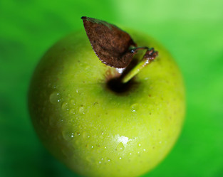 Similar image 812559