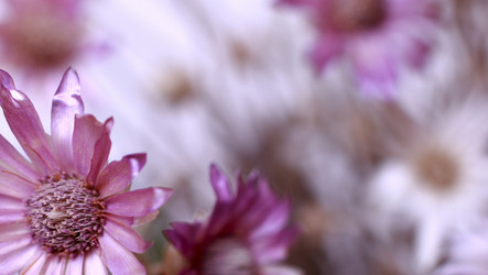 Similar image 812611