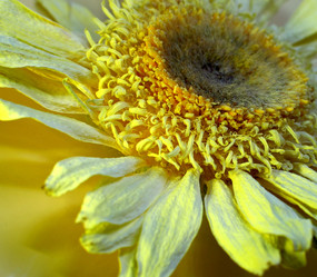 Similar image 812636