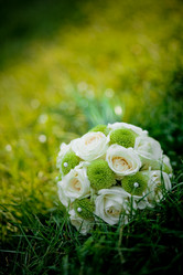 Similar image 812679