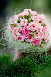 Similar image 812682