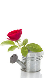 Similar image 812690