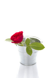 Similar image 812693