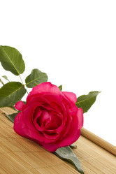 Similar image 812698