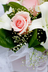 Similar image 812700