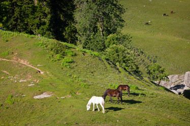 Similar image 812742