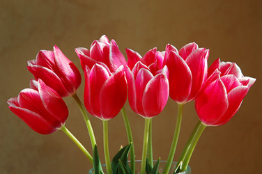 Similar image 812755