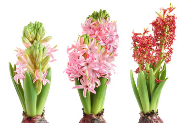 Similar image 812759