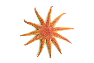 Similar image 812761