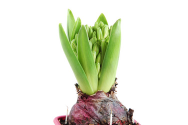 Similar image 812787