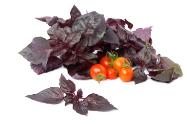 Similar image 812793