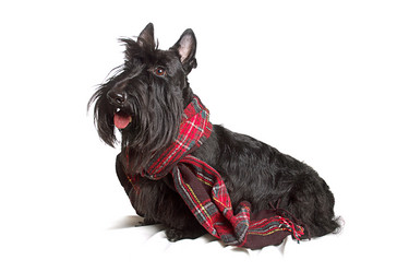 Similar image 812832