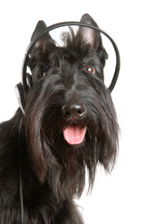 Similar image 812833