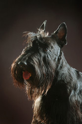 Similar image 812838