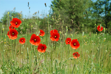 Similar image 812854