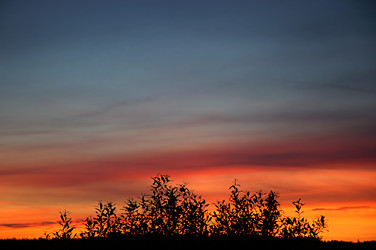 Similar image 812888