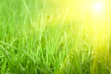 Similar image 812916