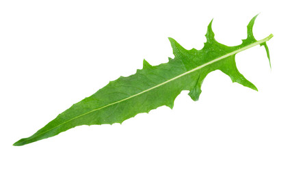 Similar image 812919