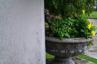 Similar image 812989