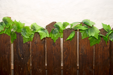 Similar image 813024