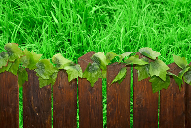 Similar image 813025