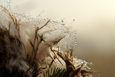 Similar image 813091