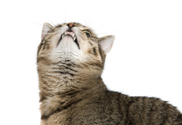 Similar image 813150