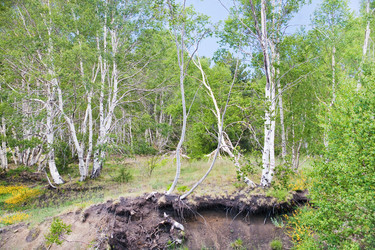 Similar image 813174