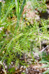 Similar image 813179