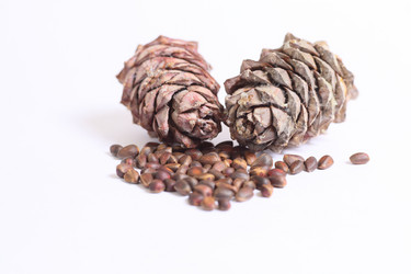 Similar image 813209