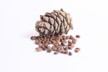 Similar image 813210