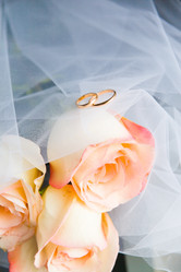 Similar image 813282