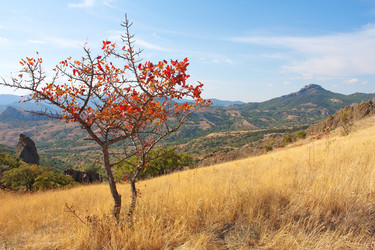 Similar image 813306