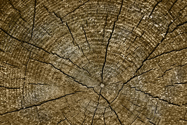 Similar image 813321