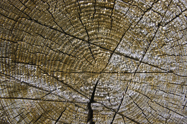 Similar image 813322