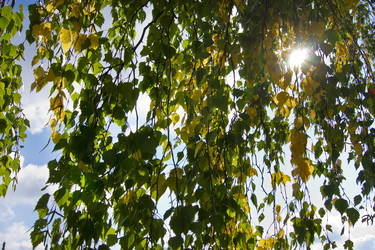 Similar image 813340