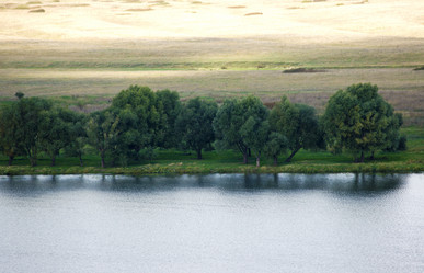 Similar image 813345